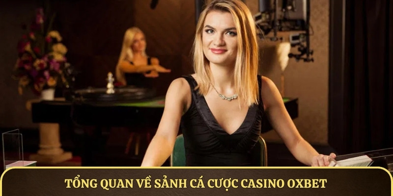 Tổng quan về sảnh cá cược Casino OXBET